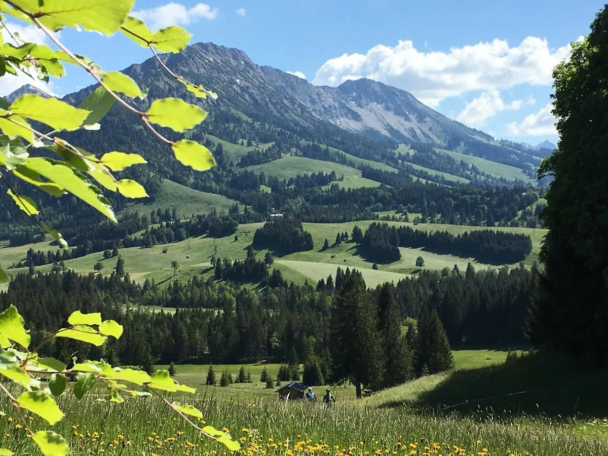 Alpenchalet Iseler Oberjoch Germany